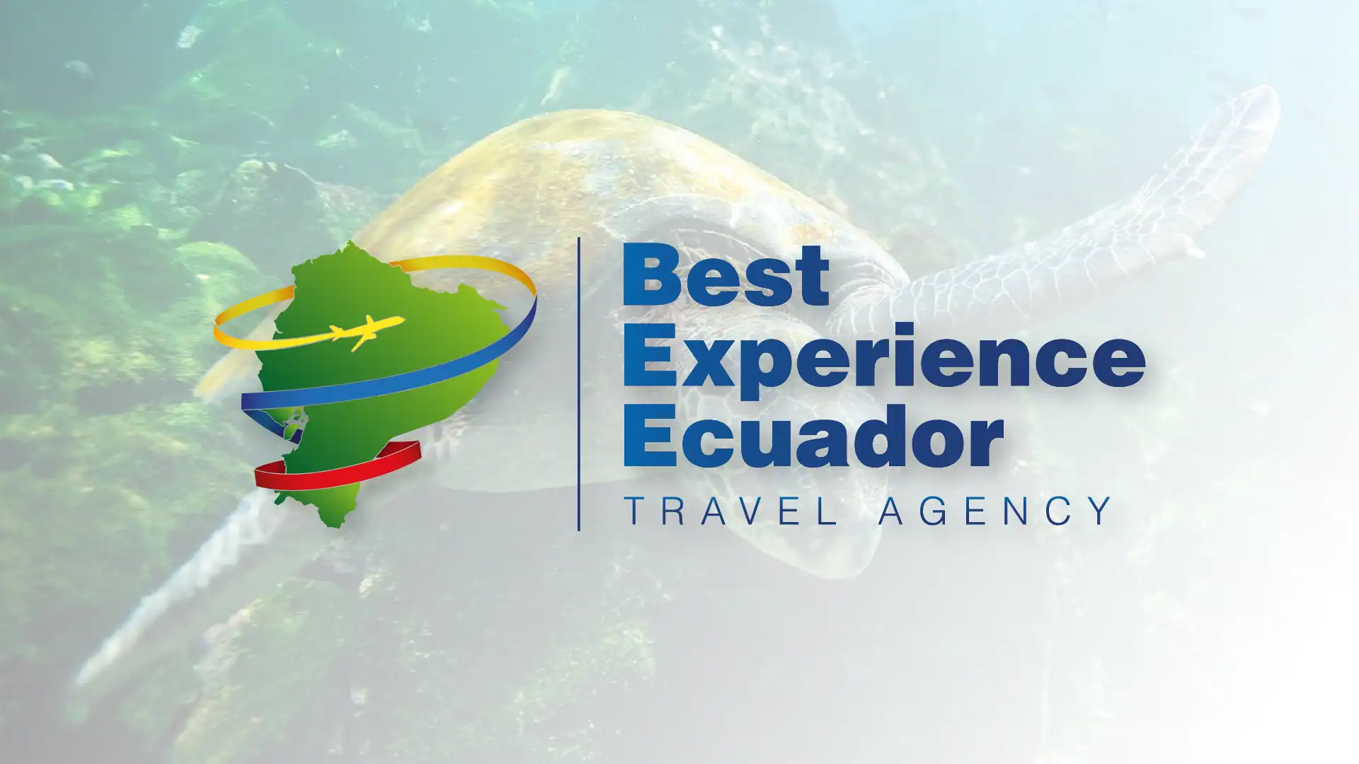Best Experience Ecuador - Branding Project